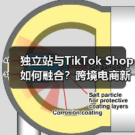 独立站与TikTok Shop如何融合?跨境电商新机遇揭秘(图4) 独立站与TikTok Shop如何融合?跨境电商新机遇揭秘(图4)