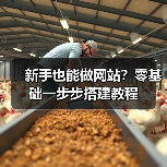 新手也能做网站？零基础一步步搭建教程