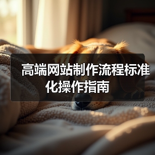 高端网站制作流程标准化操作指南(图4) 高端网站制作流程标准化操作指南(图4)