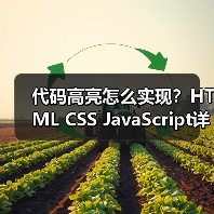 代码高亮怎么实现？HTML CSS JavaScript详解