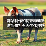 网站制作如何兼顾速度与质量？五大优化技巧提升加载效率