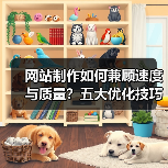 网站制作如何兼顾速度与质量?五大优化技巧提升加载效率(图3) 网站制作如何兼顾速度与质量?五大优化技巧提升加载效率(图3)