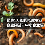 预算5万如何搭建专业企业网站?中小企业建站全攻略(图4) 预算5万如何搭建专业企业网站?中小企业建站全攻略(图4)