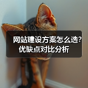 网站建设方案怎么选？优缺点对比分析