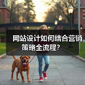 网站设计如何结合营销策略全流程?(图3) 网站设计如何结合营销策略全流程?(图3)