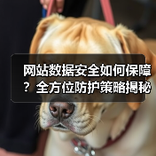 网站数据安全如何保障？全方位防护策略揭秘（图4）