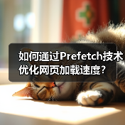 如何通过Prefetch技术优化网页加载速度?(图4) 如何通过Prefetch技术优化网页加载速度?(图4)