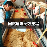 网站建设高效流程（图4）