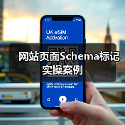 网站页面Schema标记实操案例
