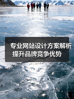 专业网站设计方案解析提升品牌竞争优势