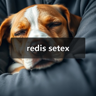 redis setex