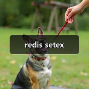 redis setex（图3）