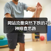 网站流量突然下跌的20种排查思路