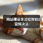 网站建设全流程智能运营解决法(图3) 网站建设全流程智能运营解决法(图3)