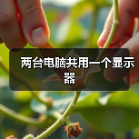 两台电脑共用一个显示器(图4) 两台电脑共用一个显示器(图4)