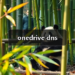 onedrive dns(图2) onedrive dns(图2)