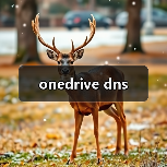 onedrive dns(图3) onedrive dns(图3)