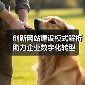 创新网站建设模式解析助力企业数字化转型(图2) 创新网站建设模式解析助力企业数字化转型(图2)