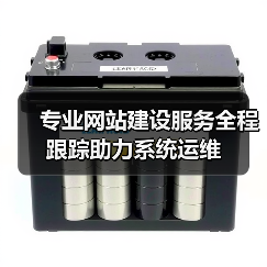 专业网站建设服务全程跟踪助力系统运维