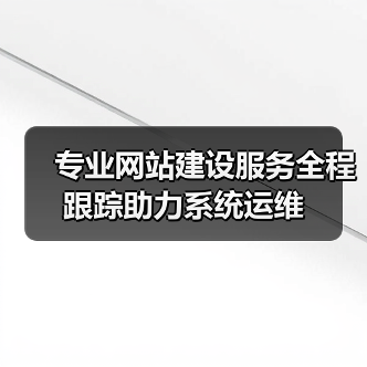 专业网站建设服务全程跟踪助力系统运维(图2) 专业网站建设服务全程跟踪助力系统运维(图2)