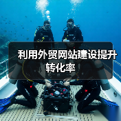 利用外贸网站建设提升转化率(图2) 利用外贸网站建设提升转化率(图2)
