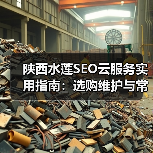 陕西水莲SEO云服务实用指南：选购维护与常见问题解析