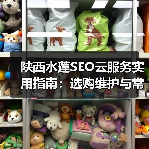 陕西水莲SEO云服务实用指南:选购维护与常见问题解析(图2) 陕西水莲SEO云服务实用指南:选购维护与常见问题解析(图2)